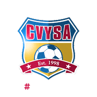 Blast Catawba Sticker by CVYSA