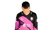 Blast T20 Sticker by Somerset County Cricket Club