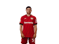 Bayer 04 Hello Sticker by Bayer 04 Leverkusen