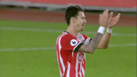 fans clap GIF by Southampton FC
