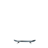 skate skateboarding Sticker by Titus