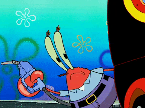 season 5 GIF by SpongeBob SquarePants