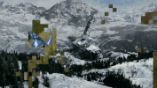 canekzapatap  GIF