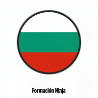 Flag Bandera GIF by Formación Ninja
