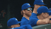 Blue Jays Baseball GIF by Toronto Blue Jays
