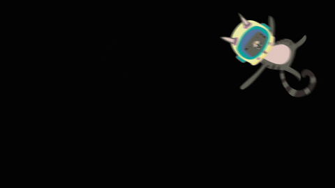 lacuadravisual giphyupload GIF