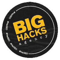 bighacks google seo buscadores google seo Sticker