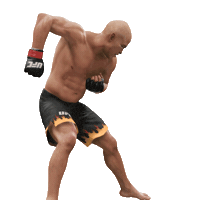 ufc 3 celebration Sticker by EA SPORTS UFC