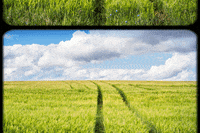 Film Photography GIF