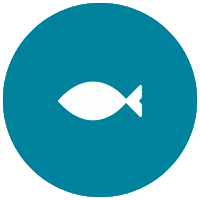 healthbyhabit_ vitamins fishoil healthbyhabit Sticker