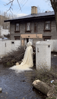 Bg Veo GIF by Aleksey Efremov