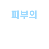 iope 아이오페 스킨위크 iope 피부맞춤연구소 Sticker