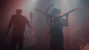 Happy New Music GIF by Skegss