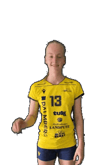 Schwerinersc Sticker by SSCPalmbergSchwerin