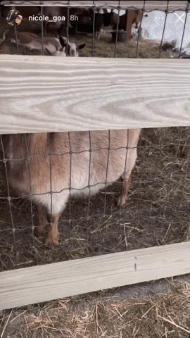 maybelarts giphyupload GIF