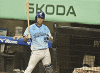 Baseball GIF
