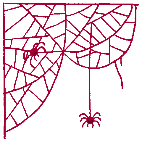 Halloween Spider Sticker