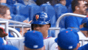 High Five Juan Soto GIF by New York Mets