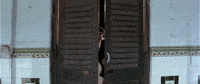 Superstar Rajinikanth Annamalai GIF by RajiniGifs