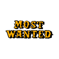 Most Wanted Love Sticker by Aerie