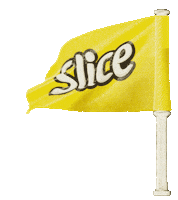 dmulleroficial slice bandeira slicebrasil Sticker