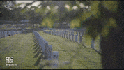 United States Usa GIF by PBS NewsHour