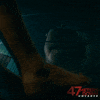 Shark GIF by 47 Meters Down Uncaged