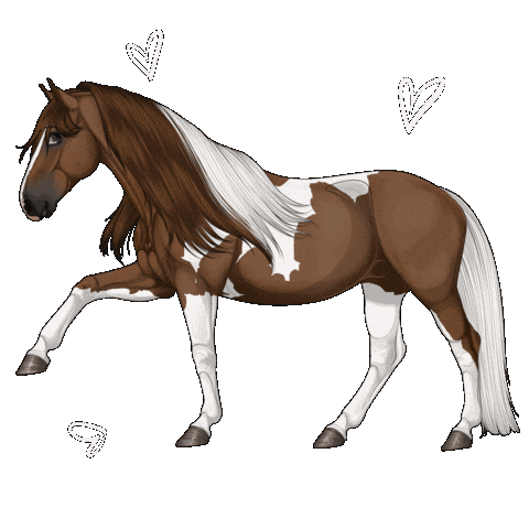 Horse Cheval Sticker