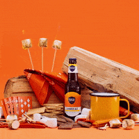 Sam Adams Summer GIF by Samuel Adams Beer