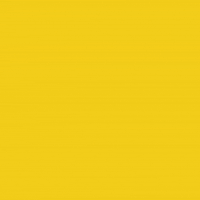 Crypto Blockchain GIF by Raiinmaker
