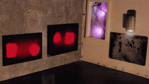 GIF by Carl Knickerbocker