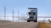 natgeochannel nat geo yellowstone yellowstone live herds on the hoof GIF