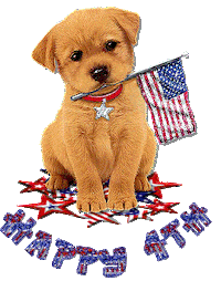 happy 4th of july STICKER