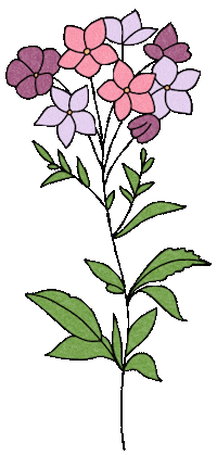 Flowers Sticker