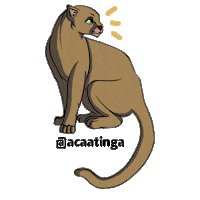 ACaatinga gato brilho bichos da caatinga acaatinga Sticker
