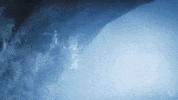 Monster Hunter GIF by Xbox