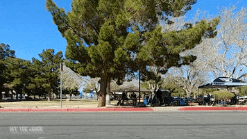 yellow car bounce GIF by Off The Jacks