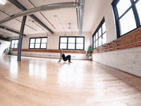 maeve40fitness animal flow GIF