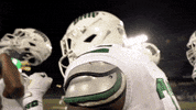 College Football GIF by Ohio Bobcats