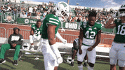 College Football GIF by Ohio Bobcats