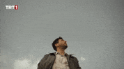 Fly Plane GIF by TRT