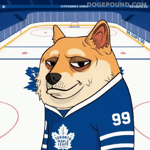 Shiba Inu Hockey GIF by Doge Pound