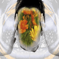 face world GIF by Psyklon