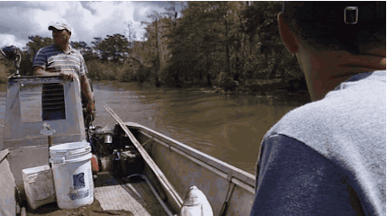 surprise fish GIF