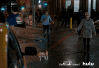 the mindy project fox GIF by HULU