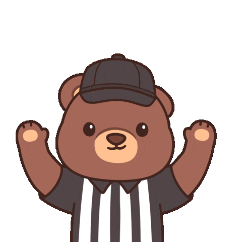Super Bowl Win Sticker by BEARISH