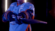 Hockey Echl GIF by Toledo Walleye