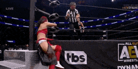 Hikaru Shida Aew On Tnt GIF by All Elite Wrestling on TV