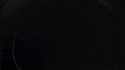 ApolloArtistMgt agency agent isolation apollo GIF