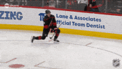 Happy Carolina Hurricanes GIF by NHL